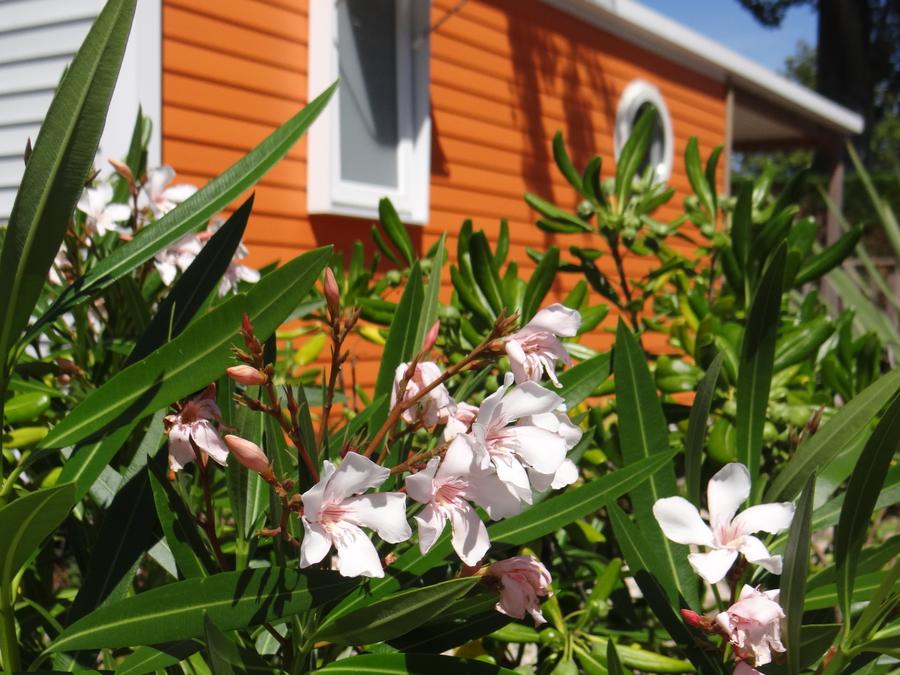 France - Camping Le Bois Verdon, 4*