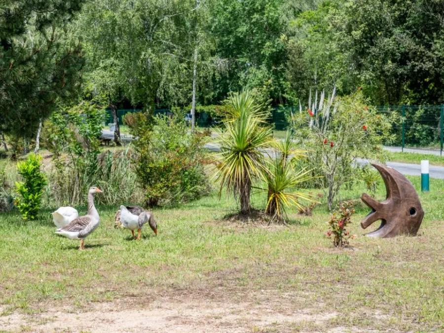 Camping Les Etangs Mina, 3* - 70
