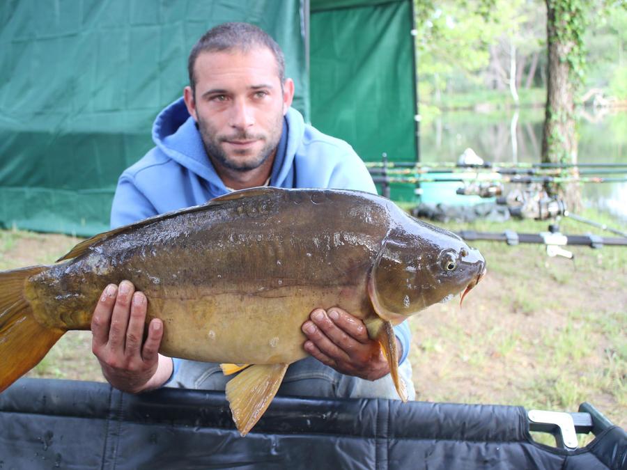 Camping Les Etangs Mina, 3* - 59