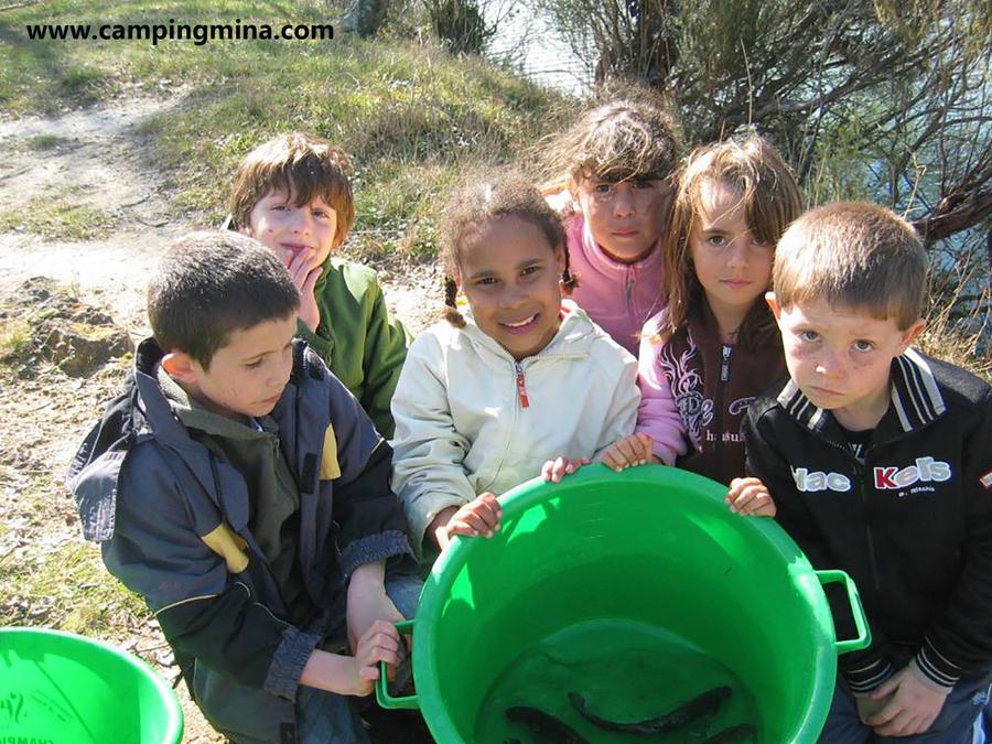 Camping Les Etangs Mina, 3* - 62