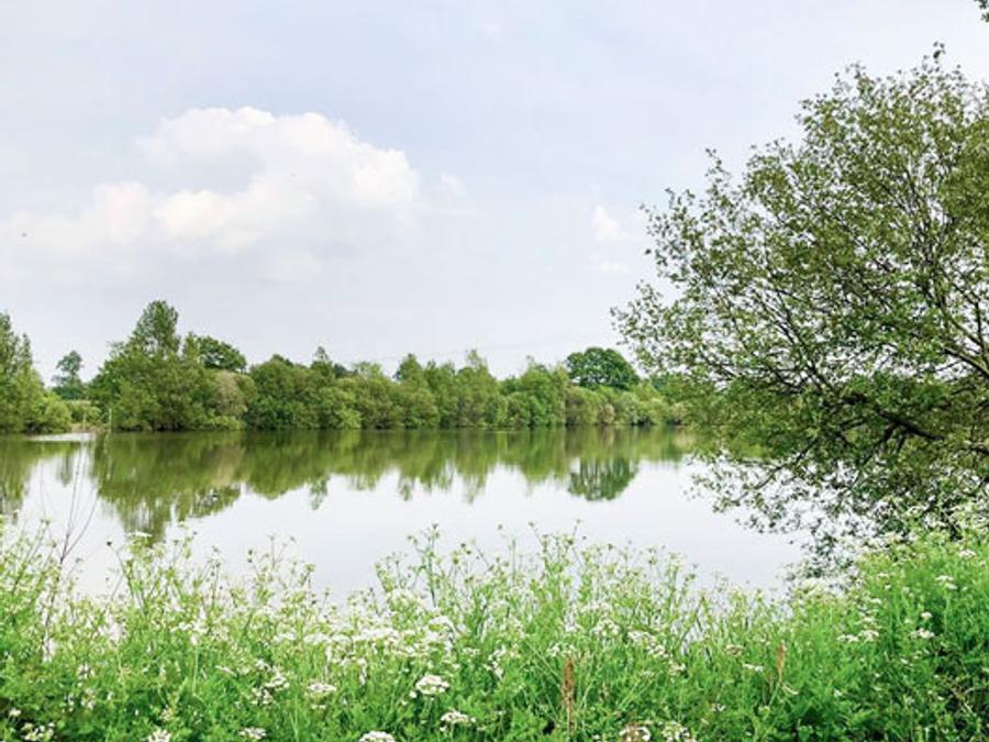 Camping Au Pré de l'Etang, 2*