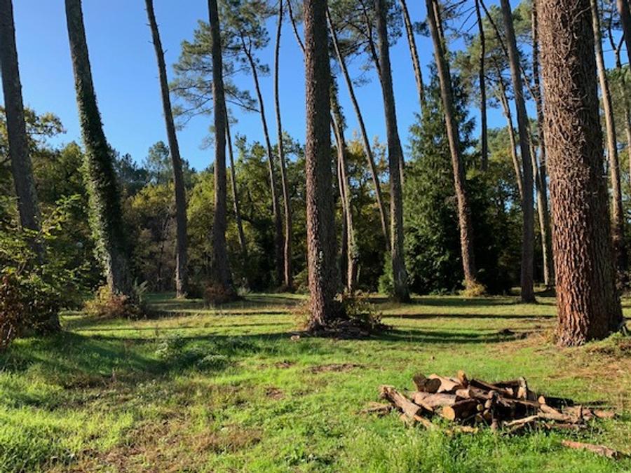 Camping Val de l'Eyre, 4* - 17