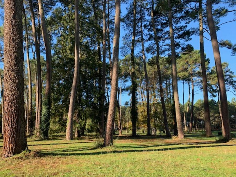 Camping Val de l'Eyre, 4* - 13