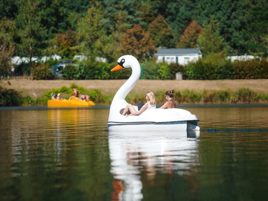 Camping du Lac de Moselotte Lorraine - Saulxures-sur-Moselotte visuel 8/10