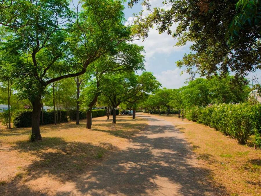 Camping Mas des Roses, 3*