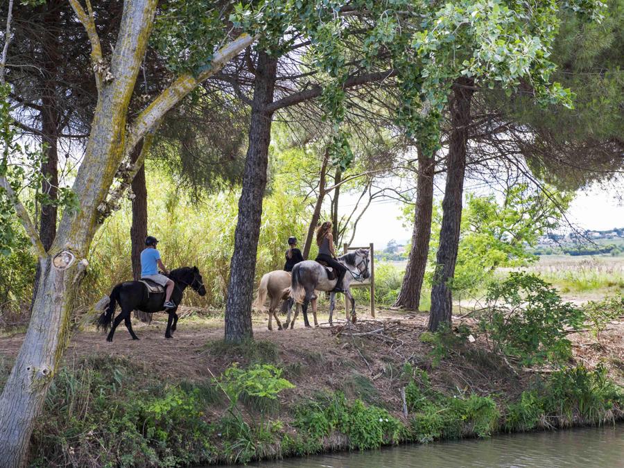 Camping Les Tamaris et Les Portes Du Soleil, 3* - 75