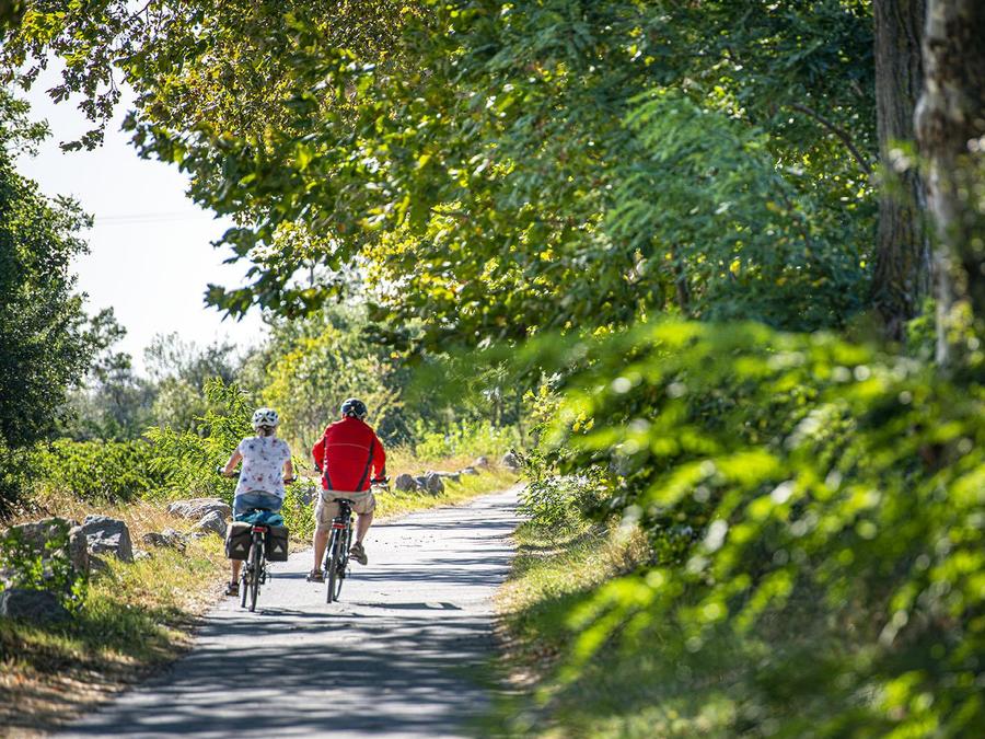 Camping Les Tamaris et Les Portes Du Soleil, 3* - 72