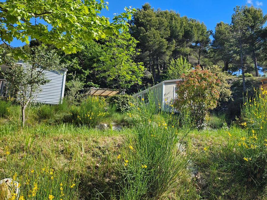 France - Camping les Terrasses Provençales, 4*