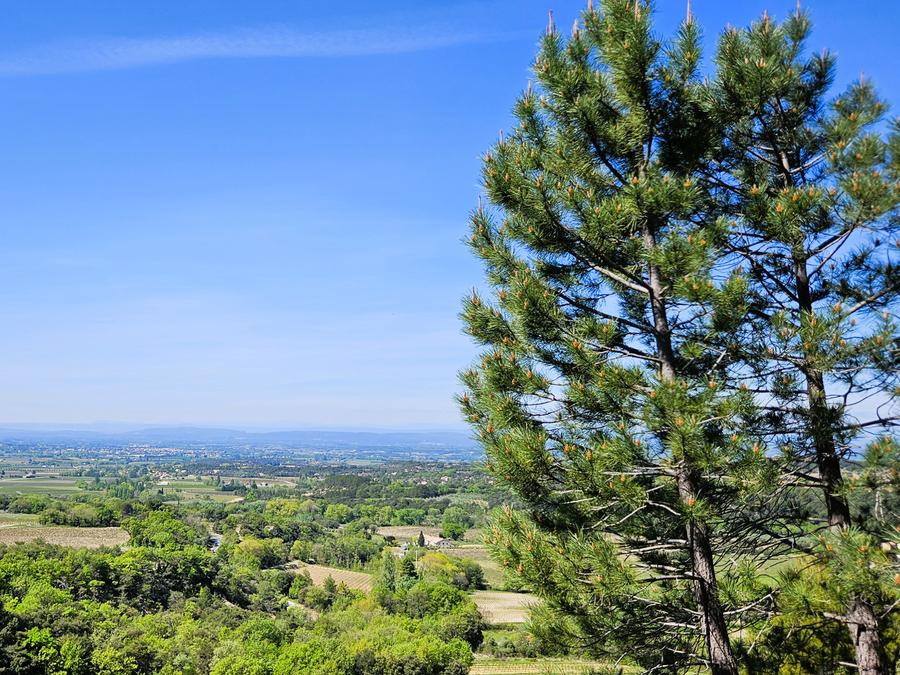 France - Camping les Terrasses Provençales, 4*