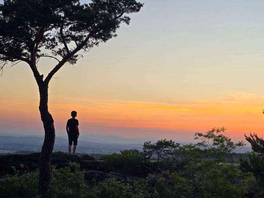 France - Camping les Terrasses Provençales, 4*