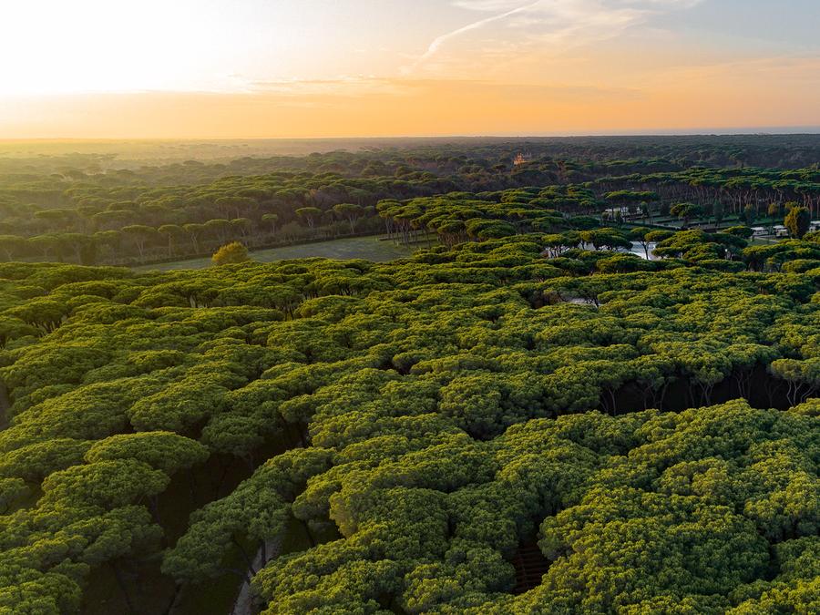 Italie - Latium (Italie) - Rome - Camping Roma Capitol, 4*