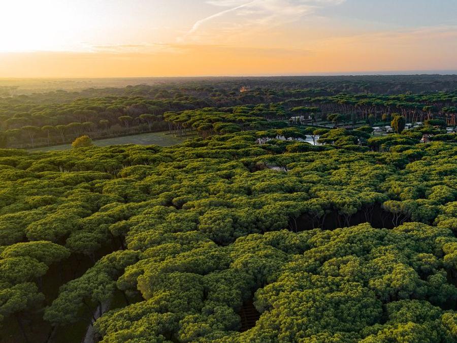 Italie - Latium (Italie) - Rome - Camping Roma Capitol, 4*