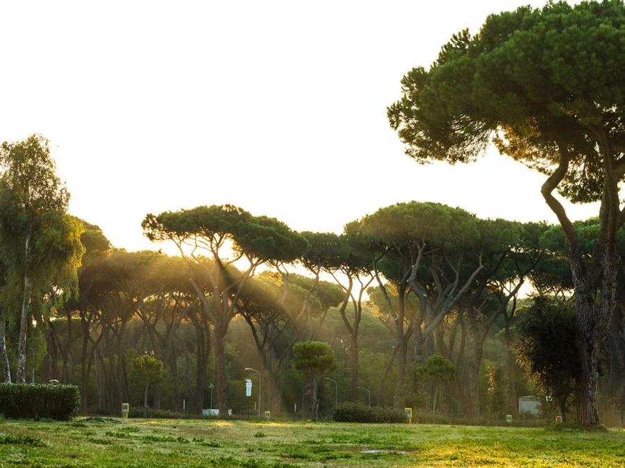 Italie - Latium (Italie) - Rome - Camping Roma Capitol, 4*