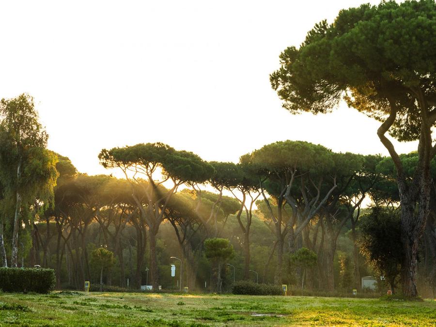 Italie - Latium (Italie) - Rome - Camping Roma Capitol, 4*