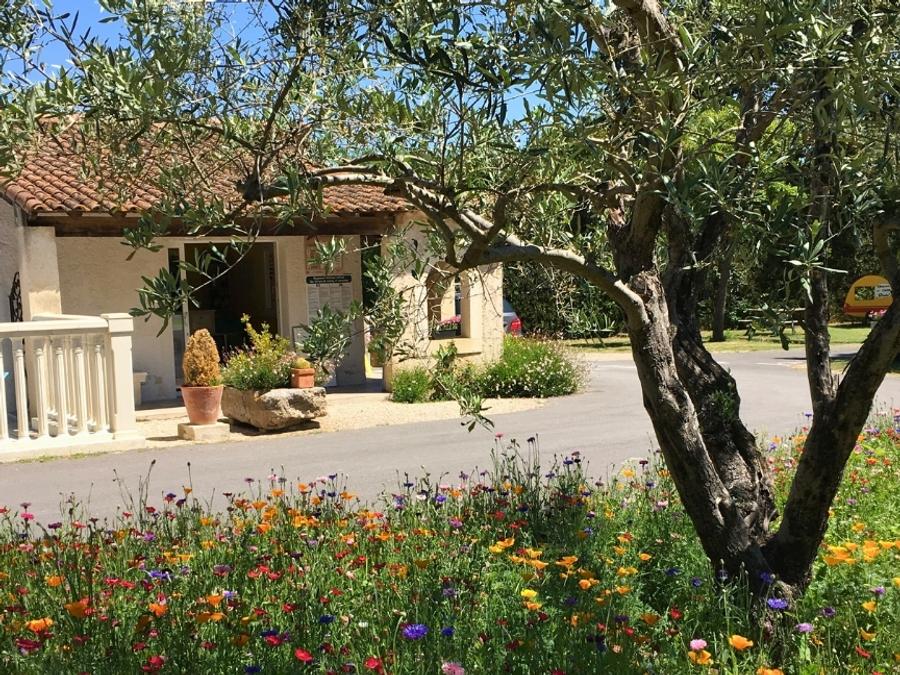 France - Camping Pegomas Pausado, 3*