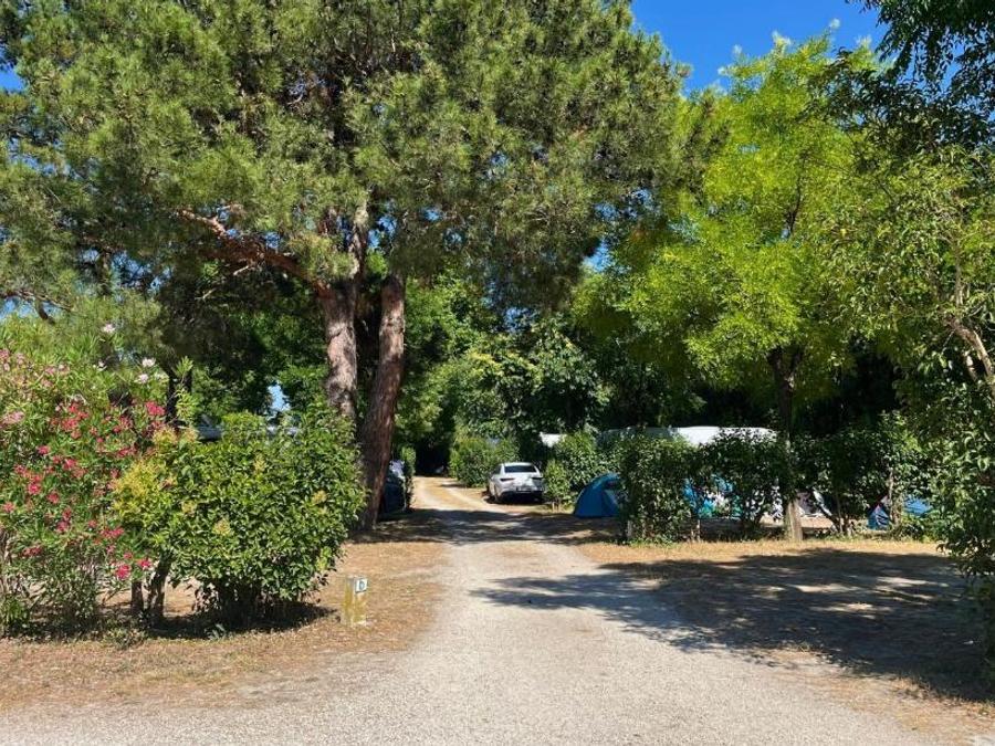 France - Camping Pegomas Pausado, 3*
