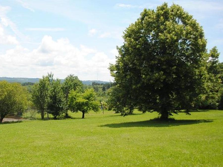 France - Camping Brin d'amour, 3*