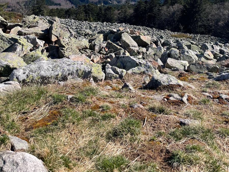 France - Auvergne-Rhône-Alpes (France) - Camping Ushuaia Villages L'Oasis, 5*