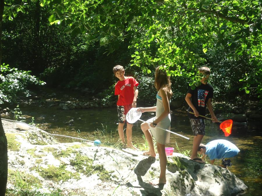 France - Auvergne-Rhône-Alpes (France) - Camping Ushuaia Villages L'Oasis, 5*