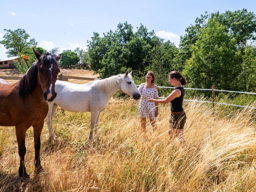 France - Auvergne-Rhône-Alpes (France) - Camping Ushuaia Villages L'Oasis, 5*