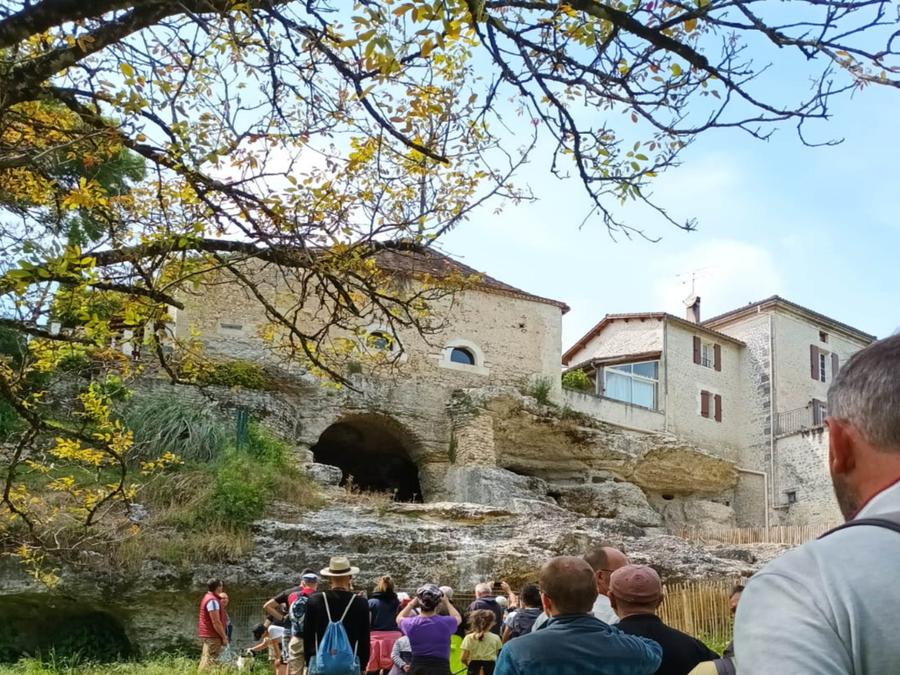 Le Petit Lion Aquitaine - Vendoire visuel 23/30