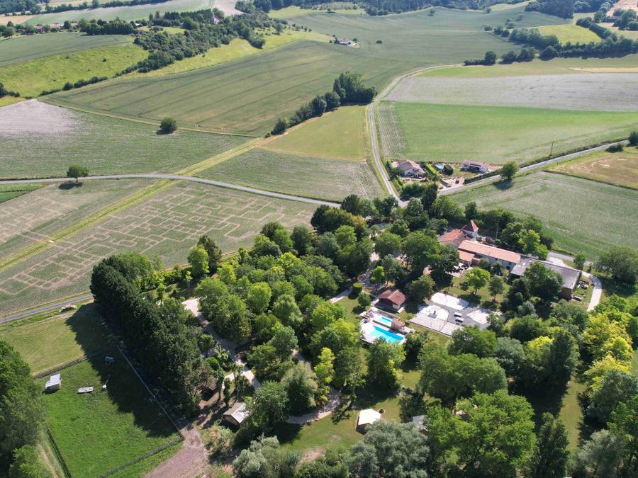 Le Petit Lion Aquitaine - Vendoire visuel 22/30