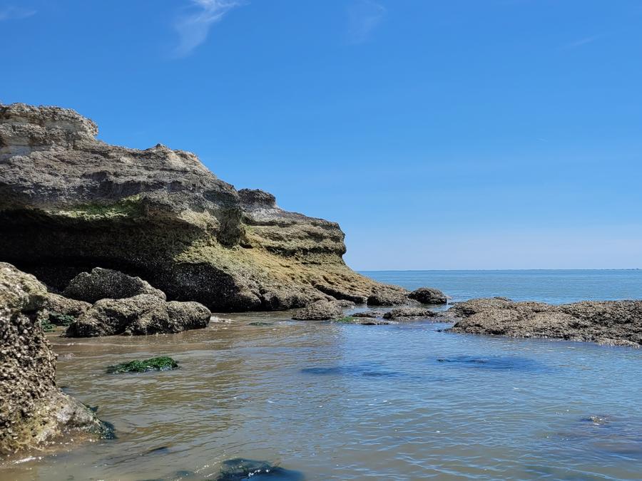 Bellevue Poitou-Charentes - Barzan visuel 21/26