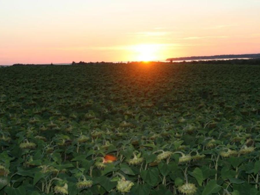Bellevue Poitou-Charentes - Barzan visuel 9/26