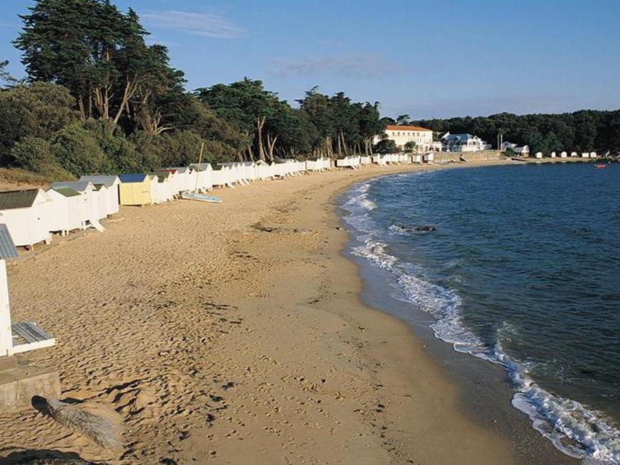 France - Camping Le Petit Bois, 3*