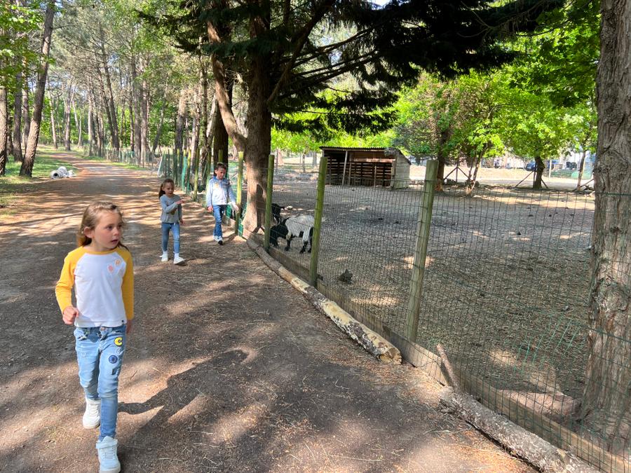 France - Camping Les Pirates de Carnac, 4*