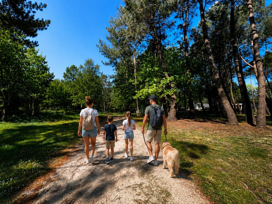France - Camping Les Pirates de Carnac, 4*
