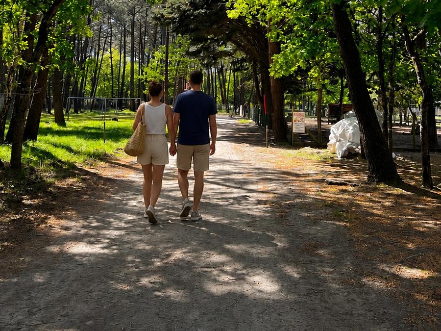 France - Camping Les Pirates de Carnac, 4*