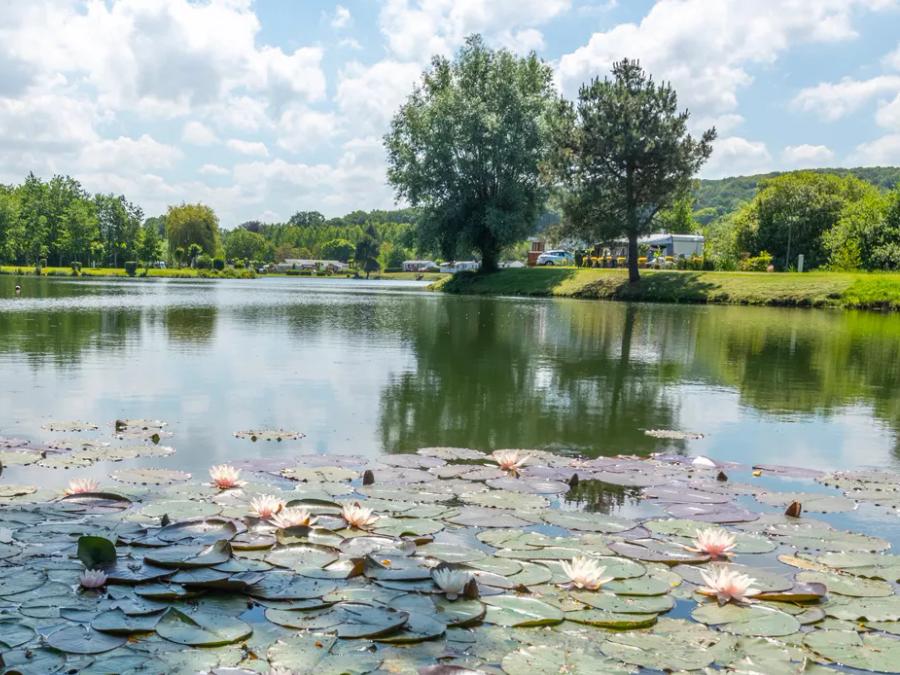 Flower Camping des 2 Rivières Haute-Normandie - Martigny visuel 3/10