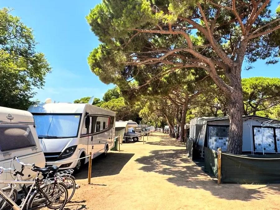 Camping Vall d'Or, 3*
