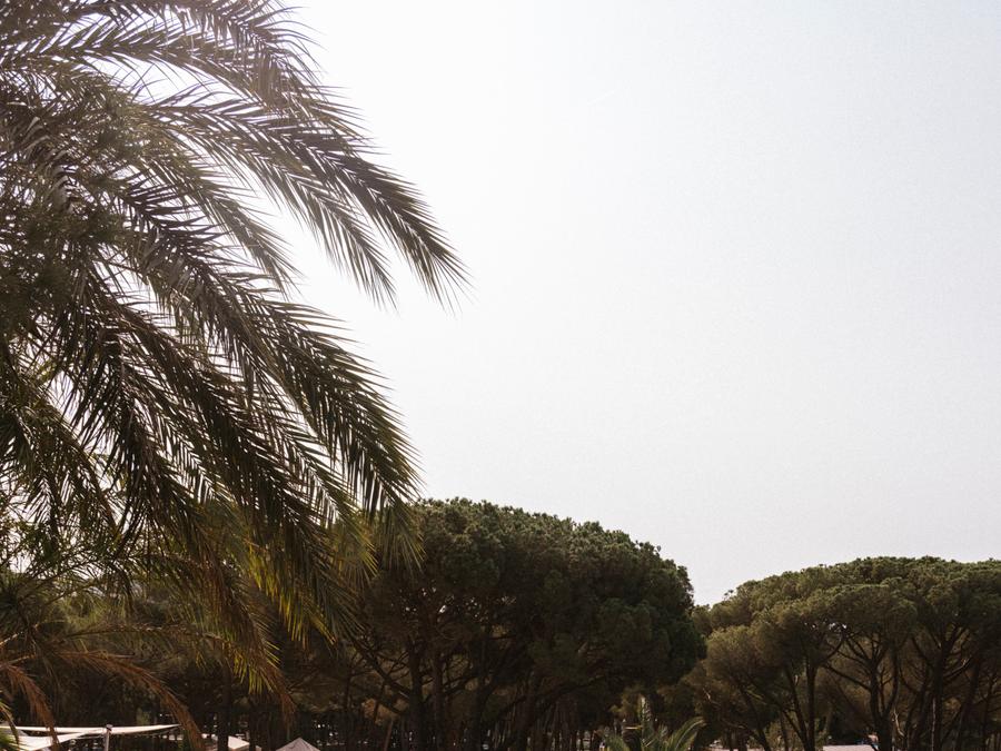 WeCamp Cala Montgo