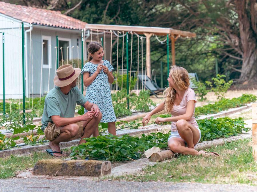 Slow Village Saint-Martin-de-Ré - 86
