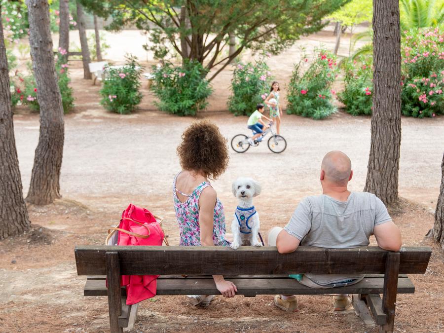 TAIGA Lake Caspe - 18