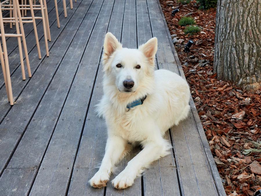 TAIGA Lake Caspe - 41