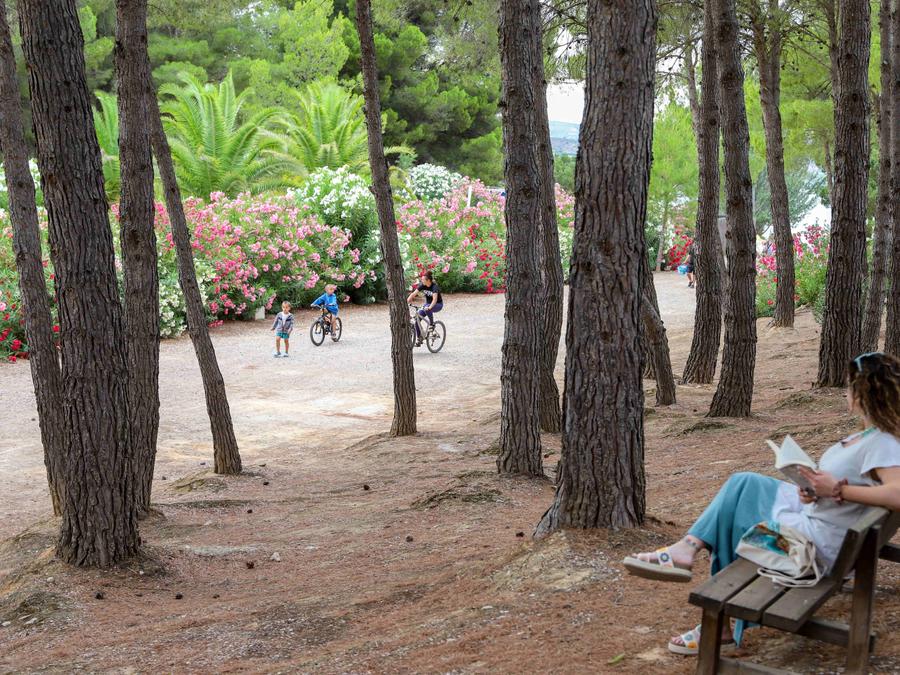 TAIGA Lake Caspe - 14