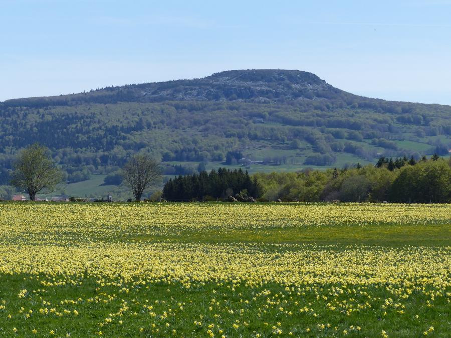 Domaine des Vans,