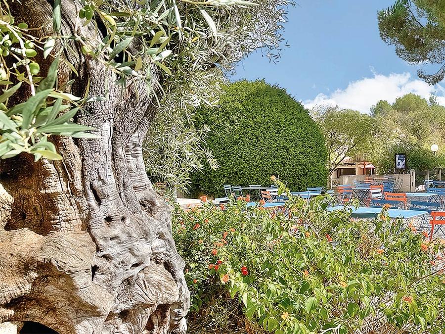 Club Belambra Les Terrasses de St Paul-de-Vence