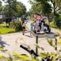 Siblu Camping Lauwersoog