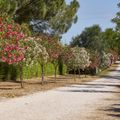 Costa d'Argento Camping Village Club Capalbio