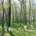 Camping Les Fées du Moulin