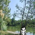 Camping Les Fées du Moulin