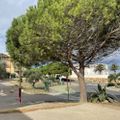 VVF Narbonne-Plage Saint-Pierre-la-Mer