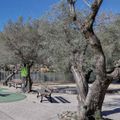 Sun Hols Les Cottages Varois