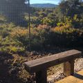 Orris camp