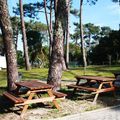 Camping Caminha