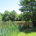 Camping Le Hameau Du Lac